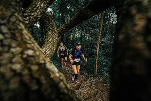 BIB: 
                            <button type="button" onclick="openModal(25667378)" class="btn btn-primary btn-sm float-right btn-popup" data-toggle="modal" data-target=".modal-high-quality">
                        <i class="fas fa-shopping-cart"></i> Add to Cart
                    </button>
                                            <button type="button" onclick="isThisMe(25667378, true)" class="btn btn-success btn-sm float-right btn-popup btn-isme hidden" data-toggle="tooltip" data-placement="bottom" title="นี่คือรูปของคุณใช่ไหม คลิกที่นี่เพื่อเอาเข้าอัลบั้ม">
                        <i class="fas fa-plus"></i> Add to album
                    </button>
                    <button type="button" onclick="isThisMe(25667378, false)" class="btn btn-warning btn-sm float-right btn-popup btn-isnotme hidden">
                        <i class="fas fa-ban"></i> Remove from album
                    </button>